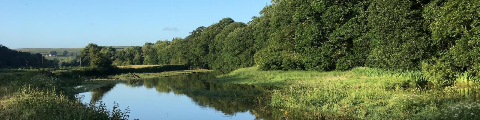 Calm river