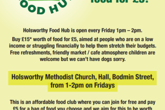 Holsworthy Food Hub poster 